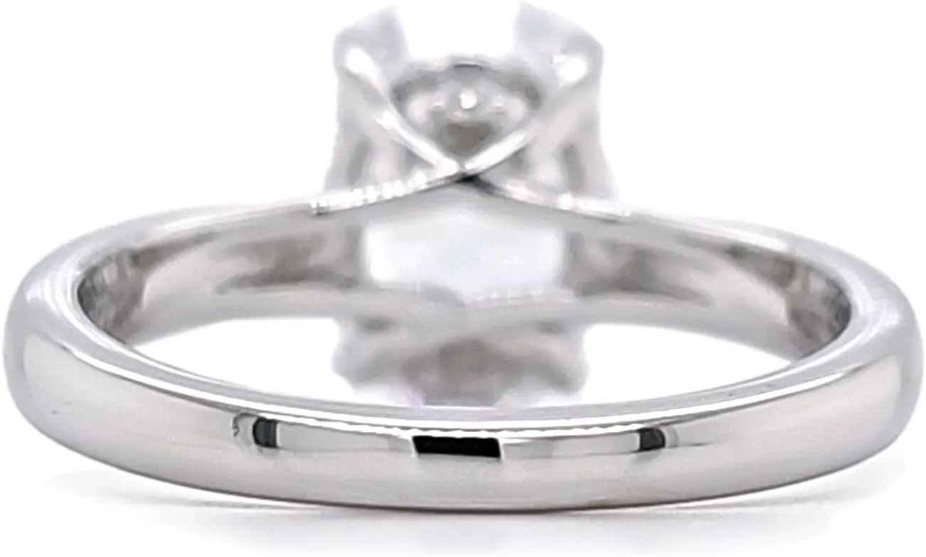 NANA Jewels 1to4ct Simulated Diamond Engagement ring Round-Princess-Cushion-Asscher Solitaire Lucita Cz & Silver