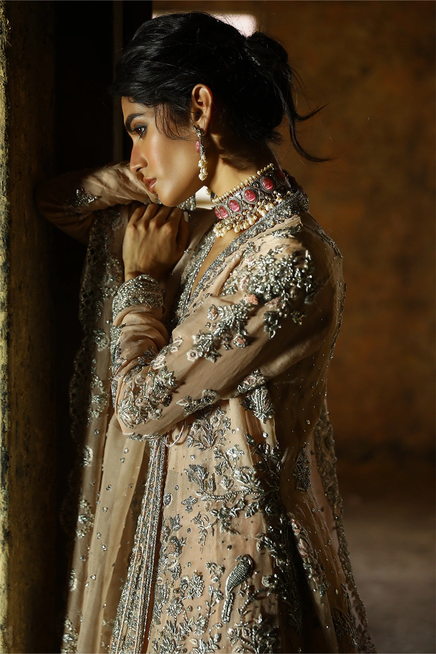 Shirin - RTD